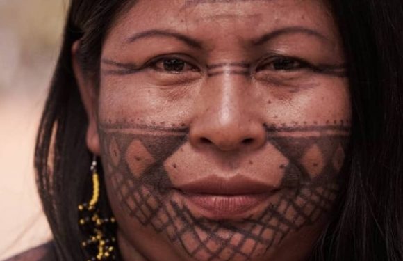 Forest Defenders Increasingly Come Under Fire in Brazil’s Lawless Amazon