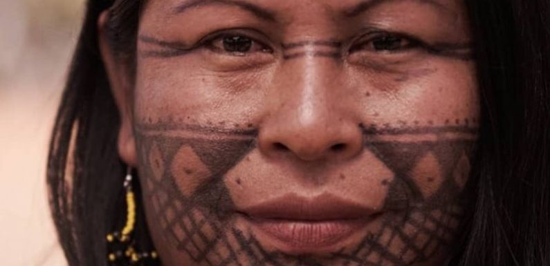 Forest Defenders Increasingly Come Under Fire in Brazil’s Lawless Amazon
