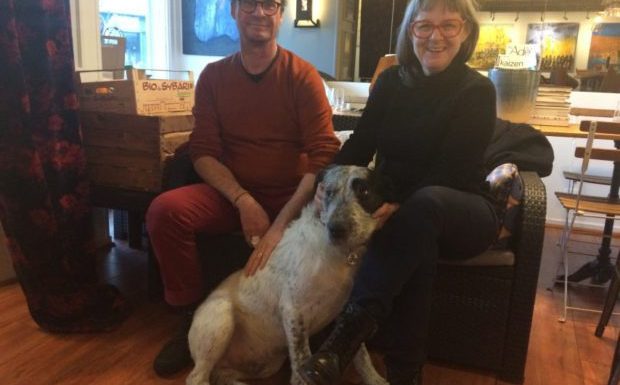 Rennes : Suite au décès d’un SDF qui séjournait à proximité de leur restaurant, un couple de restaurateurs adopte son chien, Triskell