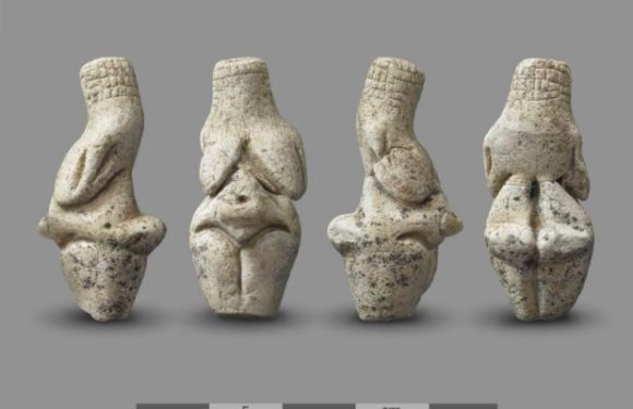 Amiens (80) : Découverte d’une exceptionnelle Vénus du paléolithique en craie datée de 23000 av J.-C.