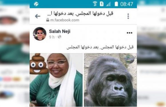 Tunisie : racisme et discriminations entre députés