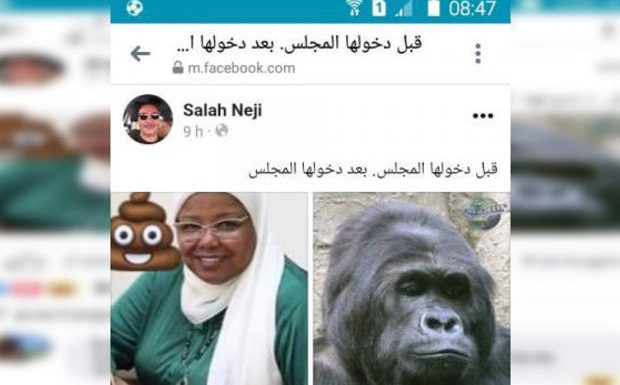 Tunisie : racisme et discriminations entre députés