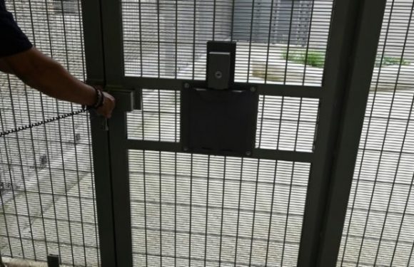 L’Allemagne autorise à nouveau les expulsions de migrants vers la Syrie, en les limitant aux « criminels dangereux »