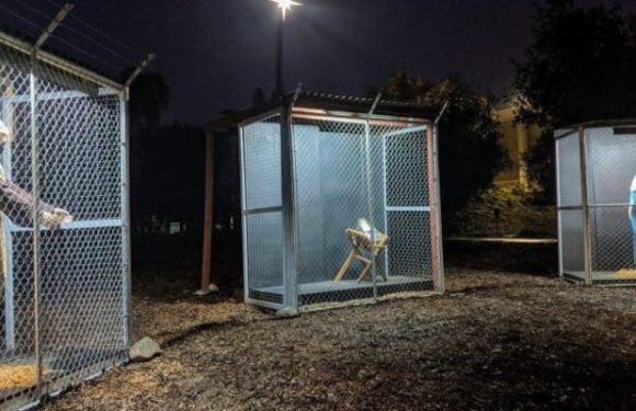 États-Unis : une crèche représente Jésus, Marie et Joseph séparés de force et détenus à la frontière