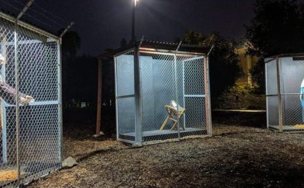 États-Unis : une crèche représente Jésus, Marie et Joseph séparés de force et détenus à la frontière