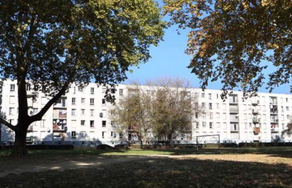 Mulhouse : Une fillette de 6 ans interpellée par la BAC alors qu’elle achetait du haschisch pour sa mère