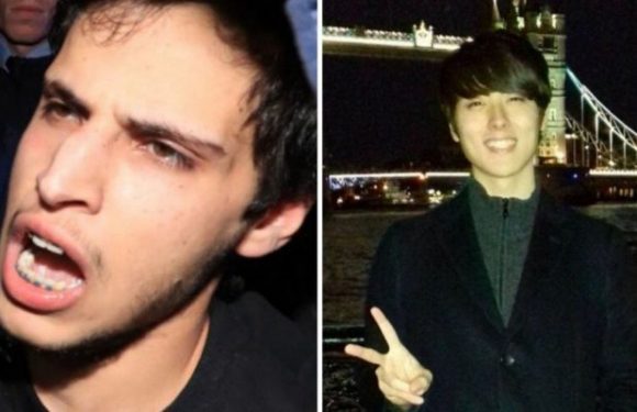 Irlande : un migrant égyptien, qui a poignardé à mort un Japonais de 24 ans, jugé non coupable pour cause de démence