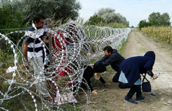 Grèce : dans la neige du nord du pays, les migrants regrettent les camps surpeuplés face à une population hostile