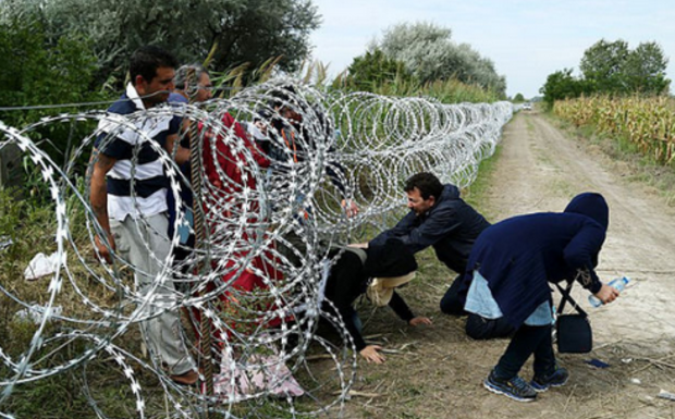 Grèce : dans la neige du nord du pays, les migrants regrettent les camps surpeuplés face à une population hostile