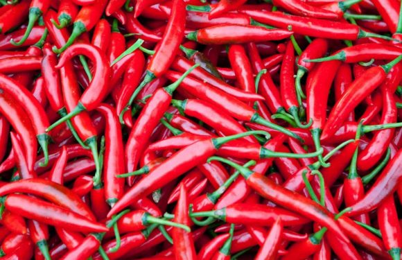Eating chilies cuts risk of death from heart attack and stroke, study says