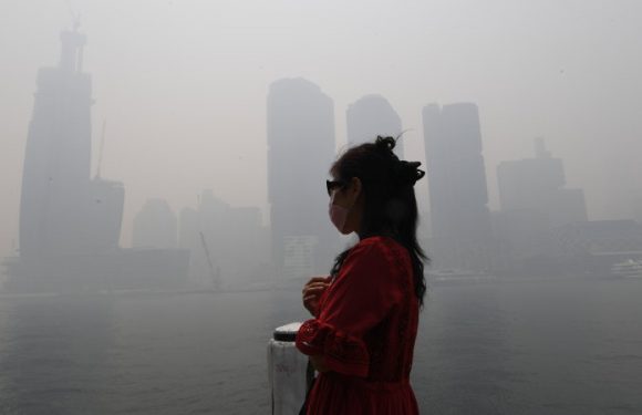 No safe level: pollution labelled a public health emergency