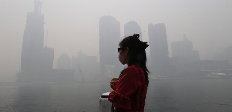 No safe level: pollution labelled a public health emergency