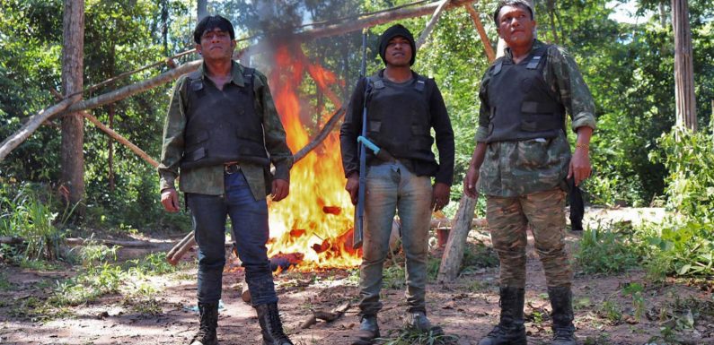 VIDEO. COP25 : en Amazonie, « les gardiens de la forêt » ont pris les armes contre la déforestation