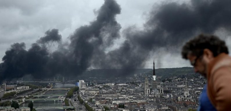 TRIBUNE. « Il est plus rentable de détruire l’environnement que de respecter la loi » : des associations et des juristes réclament plus de moyens pour la justice