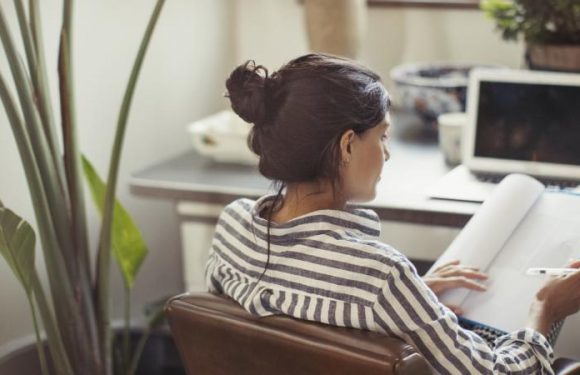 Grève contre la réforme des retraites : pourquoi le télétravail peine à se généraliser en France