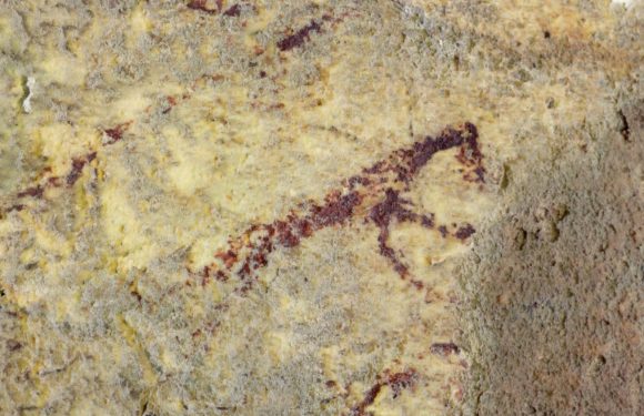La plus ancienne scène de chasse de l’art préhistorique dénichée en Indonésie
