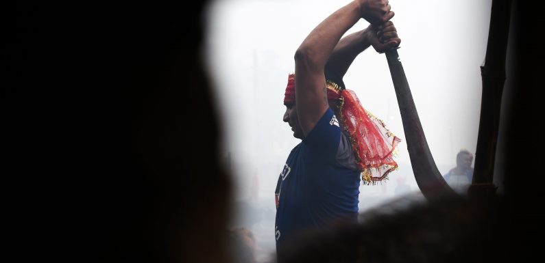 Népal: des sacrifices rituels massifs d’animaux ont débuté, malgré les protestations