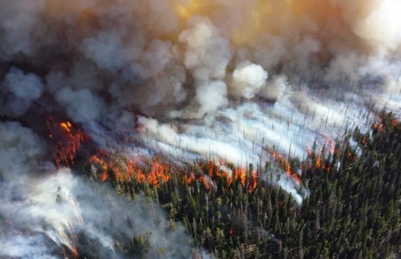 « Nous risquons d’indicibles souffrances » : 11 000 scientifiques signent une étude sur les dangers du changement climatique