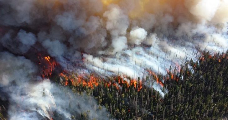 « Nous risquons d’indicibles souffrances » : 11 000 scientifiques signent une étude sur les dangers du changement climatique
