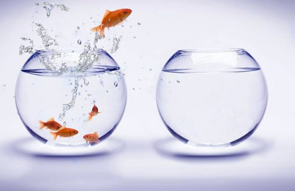 La communication, facteur déterminant de l’évolution (1)