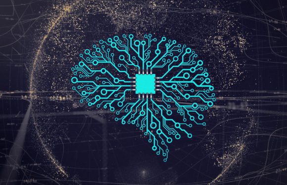 La communication comme facteur déterminant de l’évolution (2)