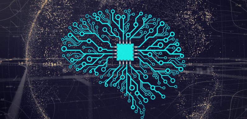 La communication comme facteur déterminant de l’évolution (2)