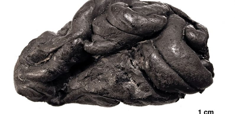Un « chewing-gum », vieux de 5700 ans, porte des traces d’ADN humain