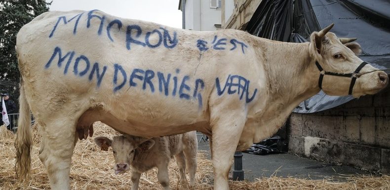 Sur la piste de l’#agribashing, point Godwin d’un modèle d’agriculture à bout de souffle