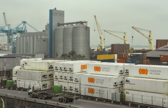 Bolloré écarté de la gestion du terminal à conteneurs du plus grand port d’Afrique centrale ?