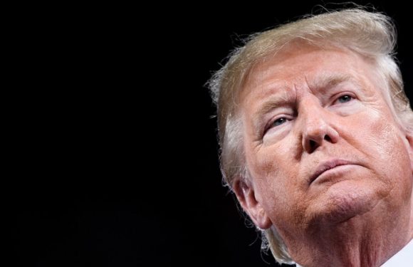 Donald Trump conseille à Greta Thunberg de «se détendre», elle lui répond avec ironie