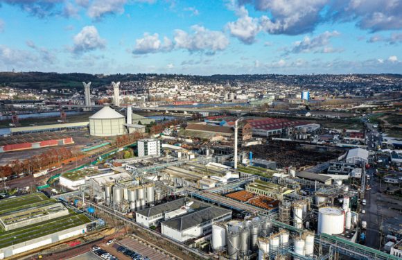 «Précipitée, préméditée et dangereuse» : la réouverture partielle de l’usine Lubrizol inquiète