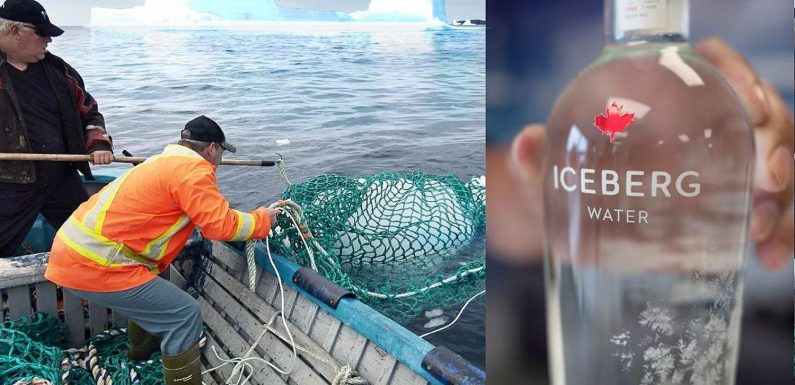 Aberrations commerciales : Top 10 du meilleur du pire 2019