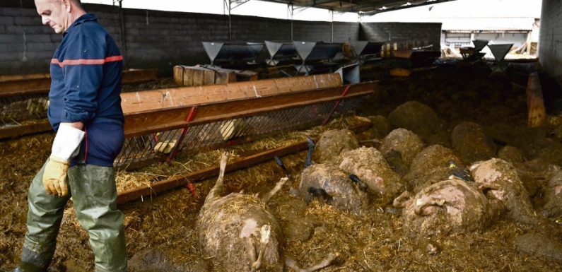 Tempête. Sud-Est : les intempéries font cinq morts de plus