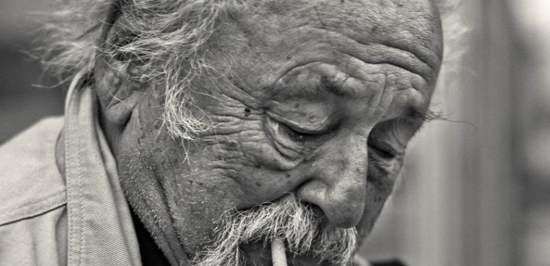 Jim Harrison : « Je suis vieux, je me fous de tout »