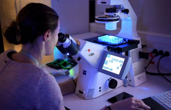 Téléthon : des avancées inédites dans la lutte contre les maladies rares