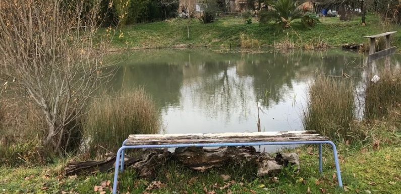 Affaire des grenouilles de Grignols : la justice confirme que la mare doit être rebouchée