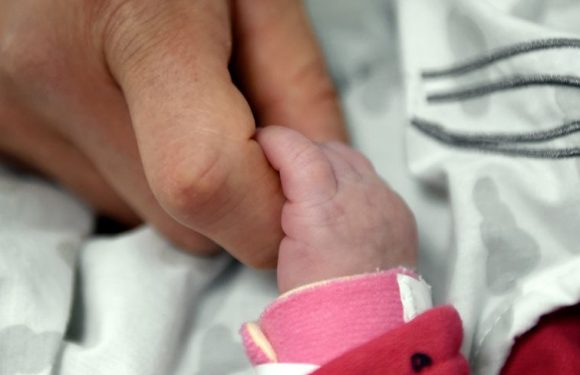 TEMOIGNAGE – Landes : elle ne sait pas qu&rsquo;elle est enceinte et accouche dans l&rsquo;ambulance