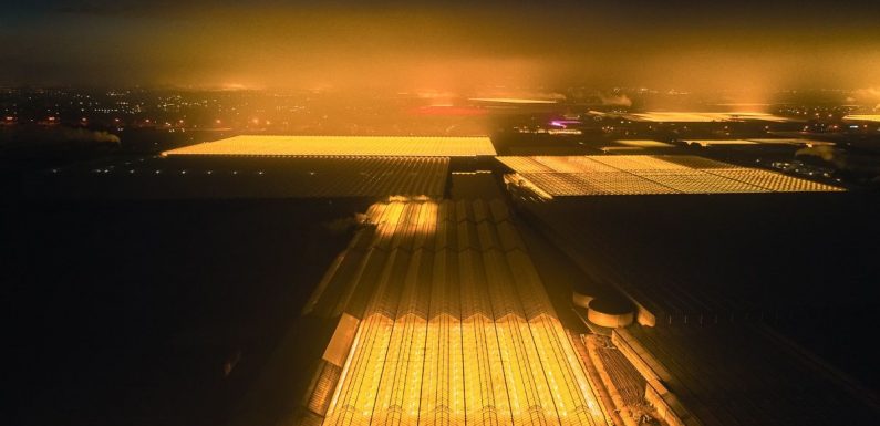 Ils prennent des photos préoccupantes du ciel des serres à LED en Hollande
