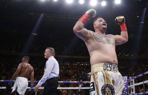 Les immanquables du jour : Plus petit régime spécial de retraite, menaces sur les CRS, boxeur « grassouillet »