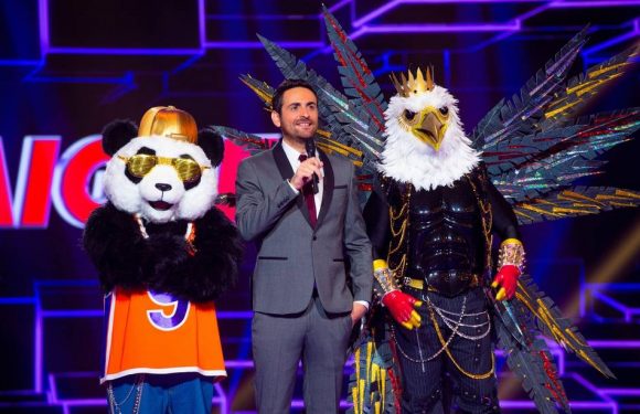 « Mask Singer » : Casting, spoils, rythme… Avant la finale, on fait le bilan de la saison 1