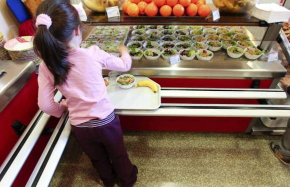 Marseille: Une pétition réclame la fin des barquettes en plastique dans les cantines, « une question sanitaire »