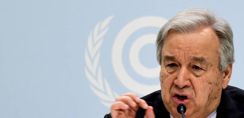 COP25 : L’Humanité doit mettre fin à sa « guerre contre la nature » selon le secrétaire général de l’ONU