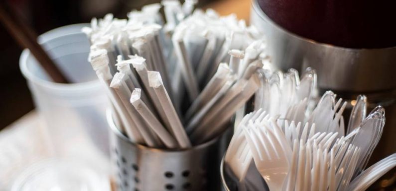 Plastiques à usage unique : Les interdictions au 1er janvier 2020 précisées au « Journal officiel »