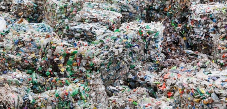 VIDEO. Loi anti-gaspillage: Les principales mesures du projet de loi adopté par les députés