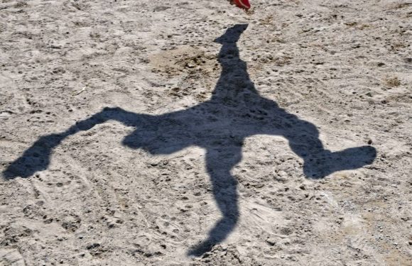 Pédophilie: Une enquête dans le monde du sport évoque des « dysfonctionnements graves » dans 77 affaires depuis 1970