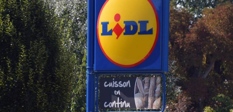 Lidl : Le robot « Monsieur Cuisine Connect » est de retour en magasin, 150.000 appareils en vente