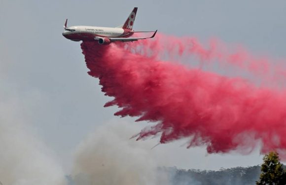 Australie : Huit incendies viennent de fusionner en un « mégafeu »