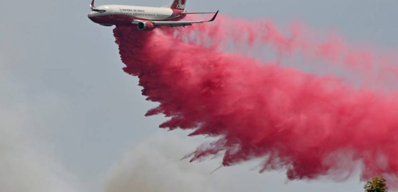 Australie : Huit incendies viennent de fusionner en un « mégafeu »