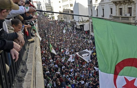 Algérie : Les manifestants dans la rue, ce vendredi, une semaine avant la présidentielle