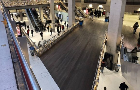 Grève du 5 décembre à Paris: « Les usagers ont pris leurs précautions », la gare du Nord quasi déserte